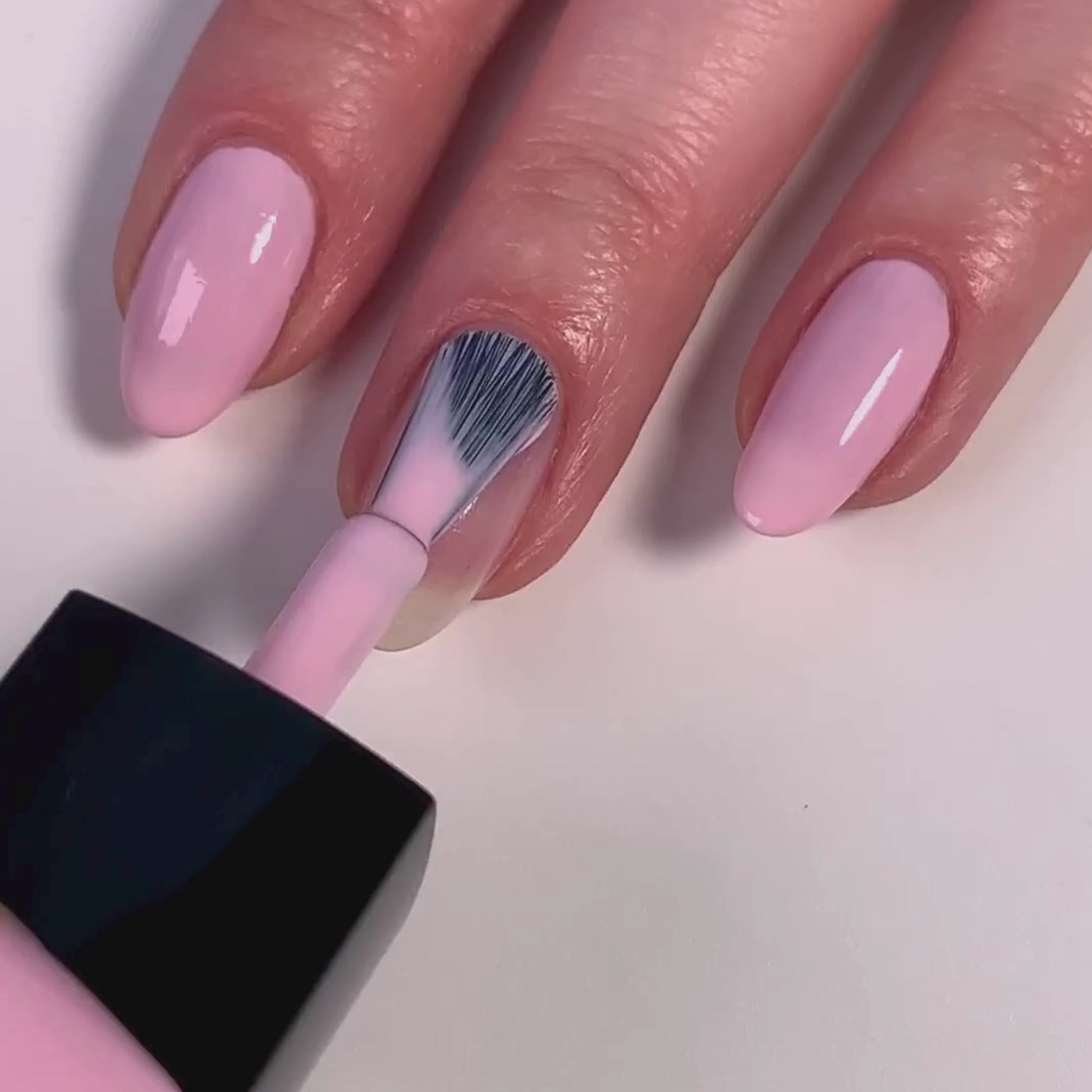 Pink Palm