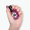 Violet Hibiscus