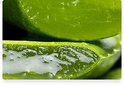 Aloe + Glycerin + D-Panthenol