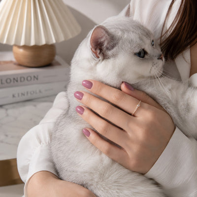 Hand with mauve manicure stroking a white cat