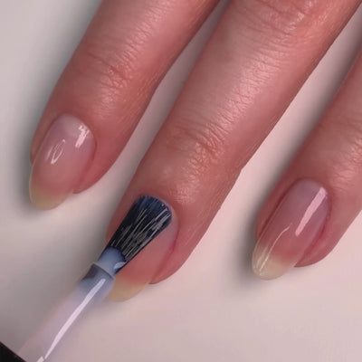 Conceal + Go - Pink: Holiday Edition