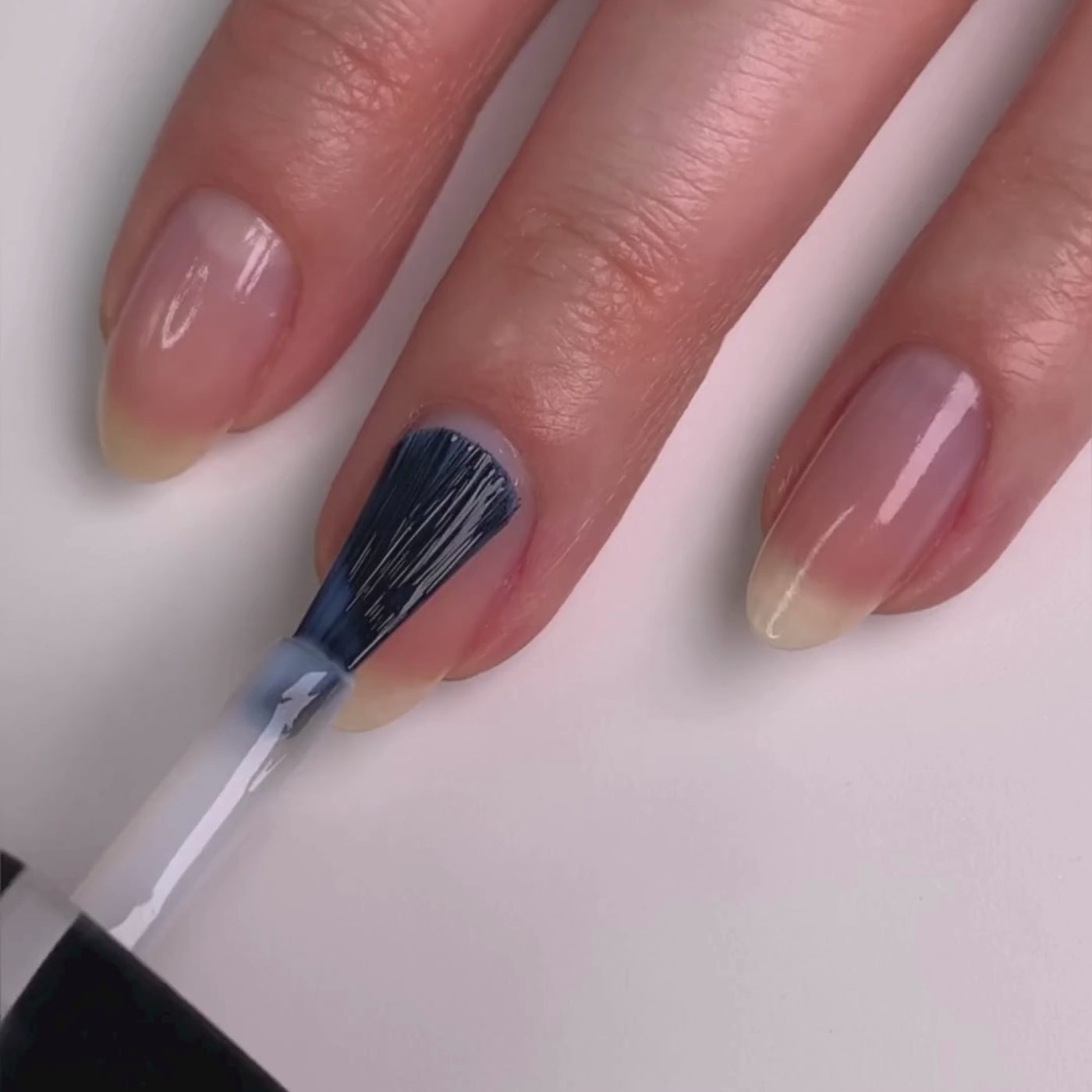 Conceal + Go: Holiday Edition